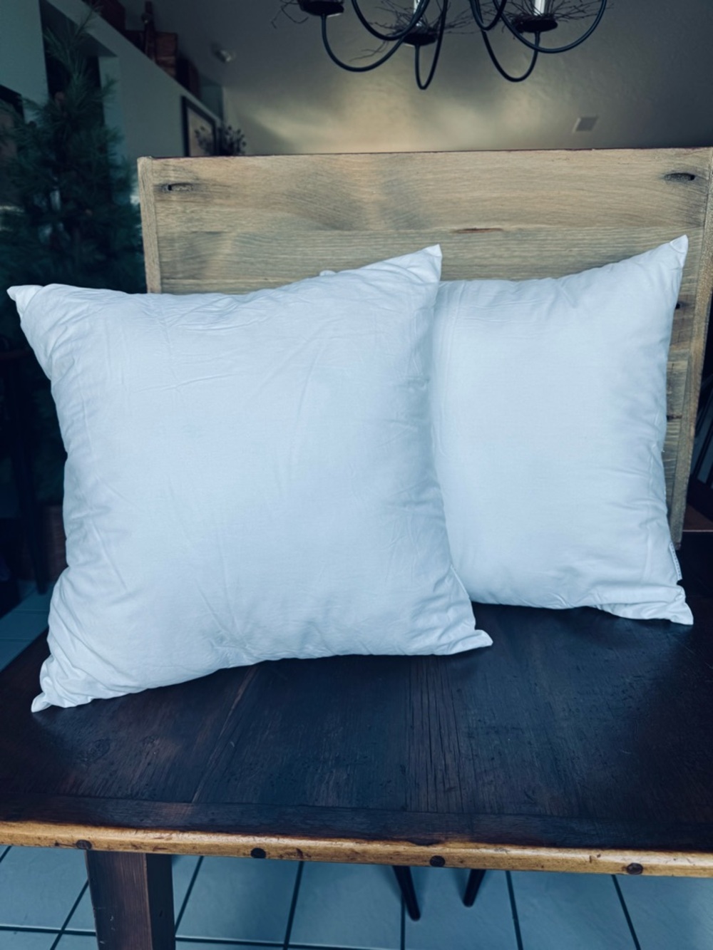 Pottery Barn Accent Pillow Insert Pair* - Picture 8 of 8